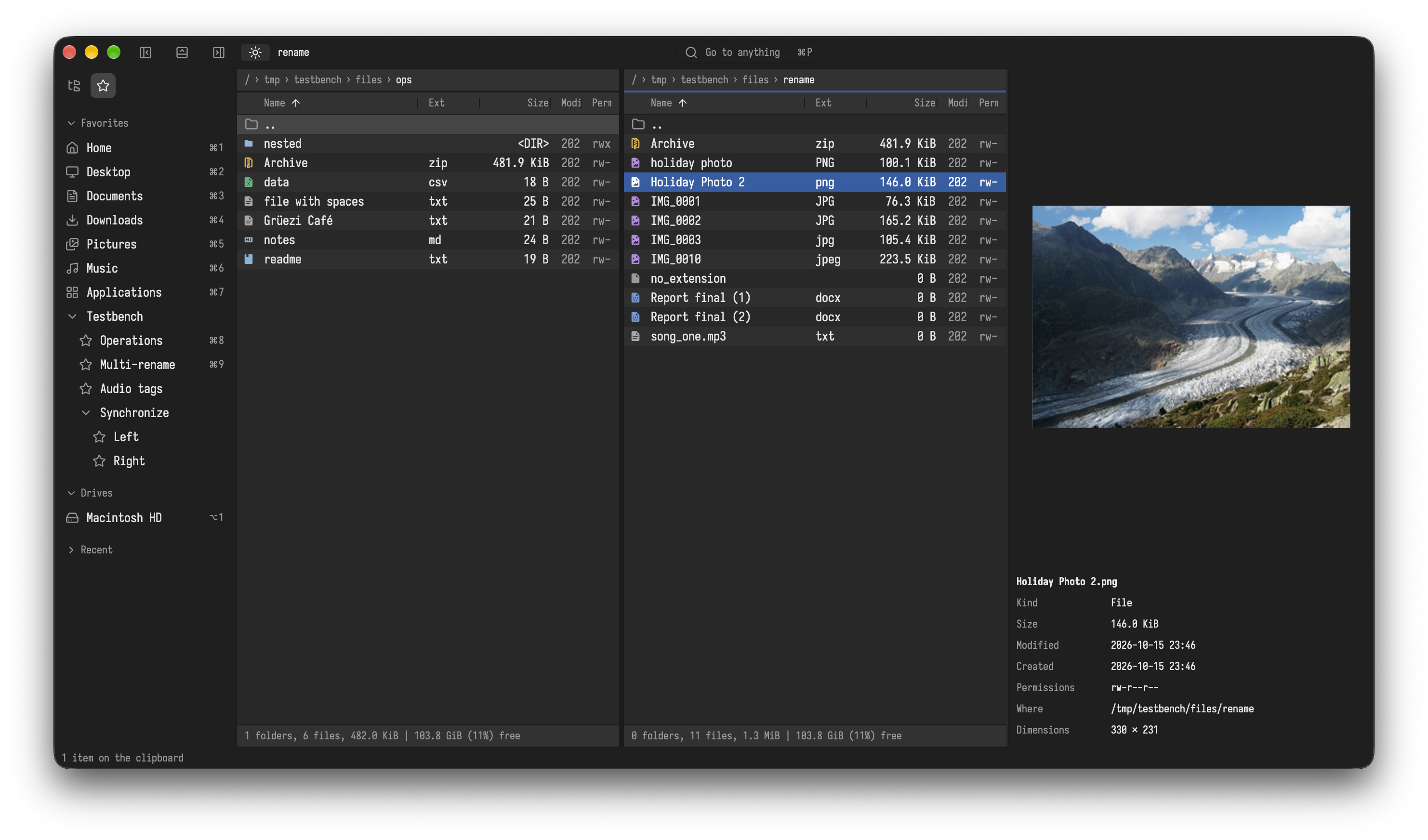 The preview panel showing a photo with its photo data