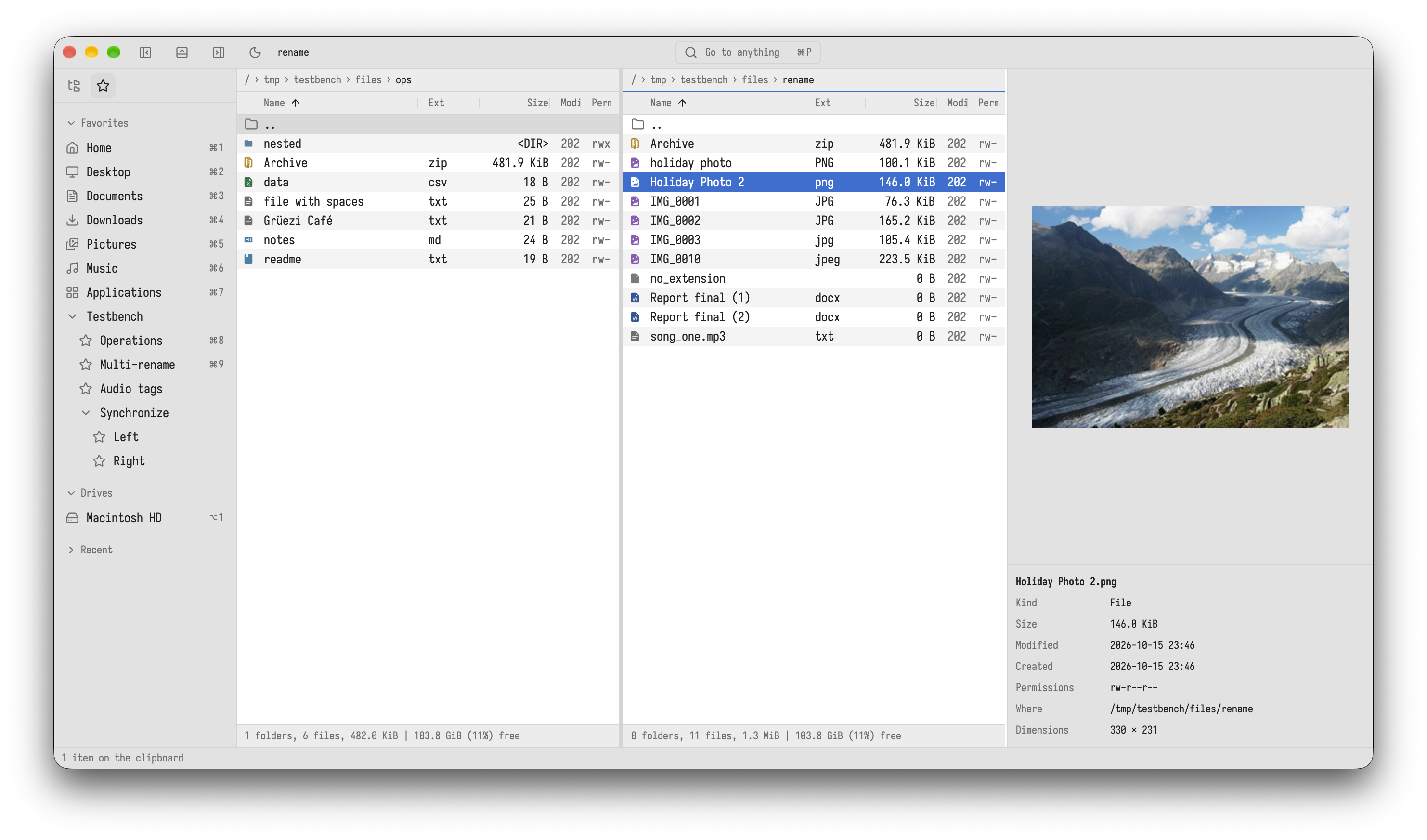 The preview panel showing a photo with its photo data